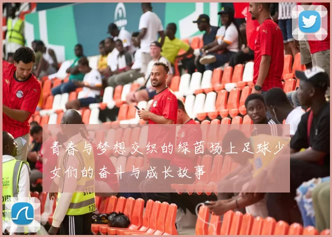 青春与梦想交织的绿茵场上足球少女们的奋斗与成长故事